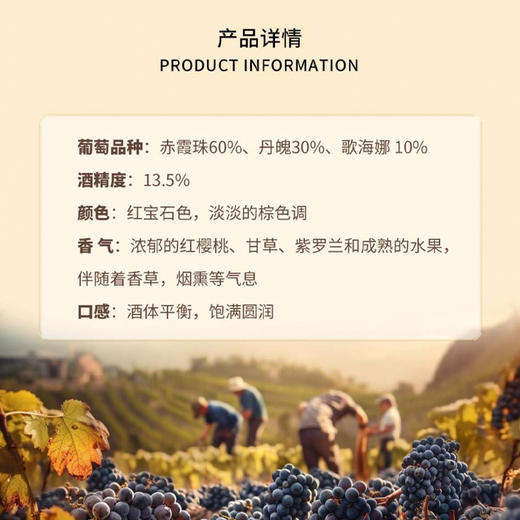 波拉格山优级珍藏干红葡萄酒 750ml*1瓶【LXGWZQ3.0】 商品图1
