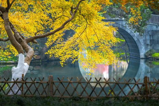 12.1确定出发【杭城秋摄CityWalk】秋日杭州建筑风光秋色7天精品摄影教学<航拍/相机> 商品图4