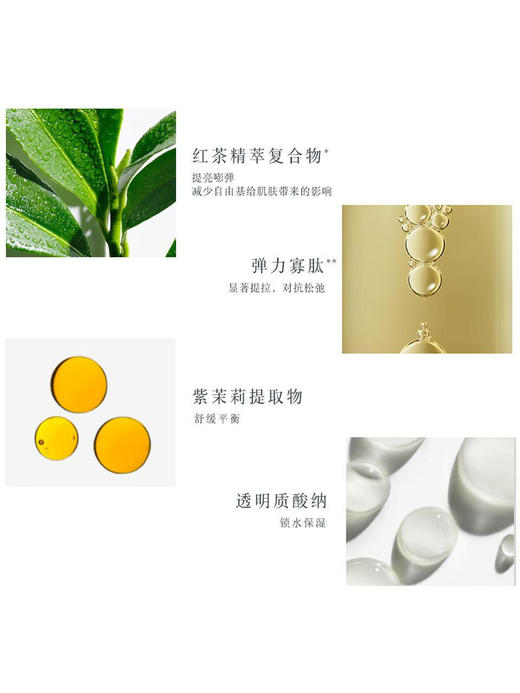 Fresh馥蕾诗红茶日夜修护面膜组合装100ml*2 （ 商品图2