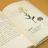 水墨话本草  顾薇 张晓东 著；黄健 绘 商品缩略图5
