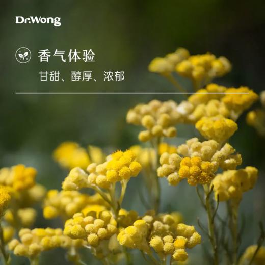 意大利永久花 单方精油 商品图1