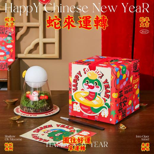 涂鸦造物办公室桌面植物生日礼物青苔（月亮） 商品图1