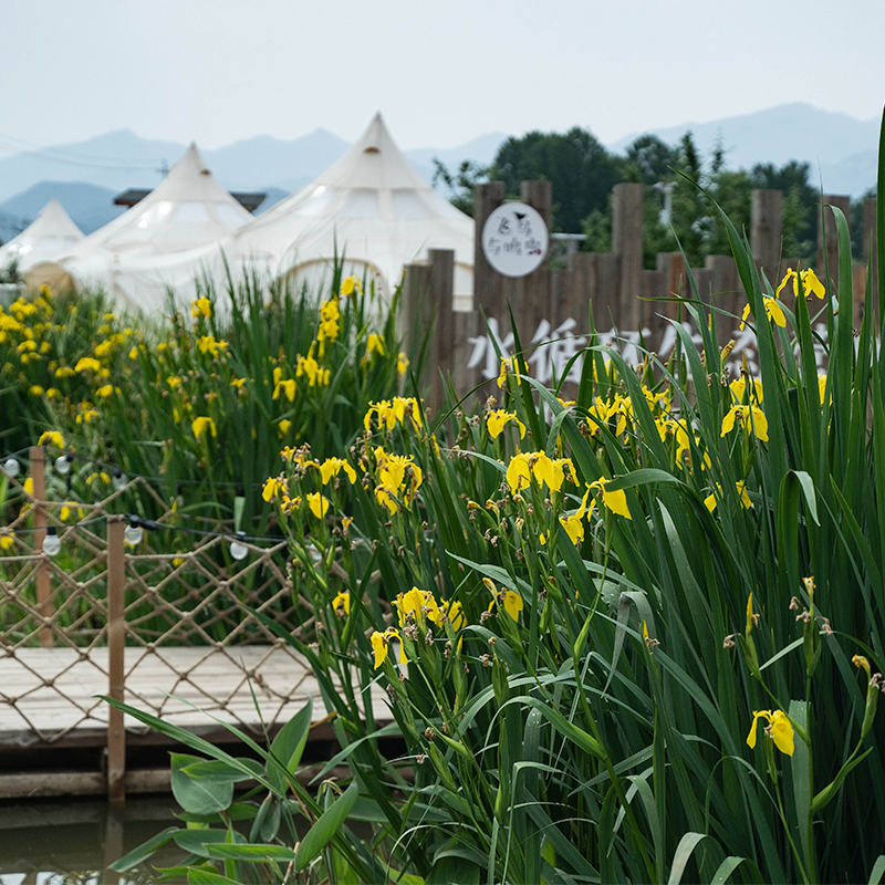 农场门票（赠68元农场美食消费券）