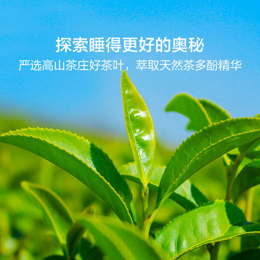 恐龙 全棉天茶植萃抗菌春秋被-DS 商品图5