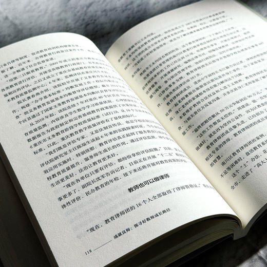 成就良师 探寻好教师成长路径 大夏书系 教师专业发展 禹跃昆 商品图12