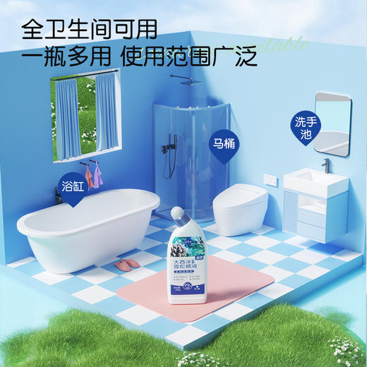 【蓝漂】初净系列 多效洁厕灵液马桶厕所清洁剂 除臭除垢强力去污去黄去异味 商品图5