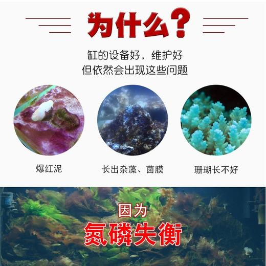 德国TM生态NP平衡液降低硝酸盐磷酸盐促进珊瑚水质添加剂500ml 商品图2