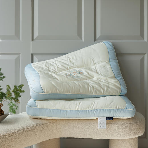 儿童学生壹举高粽护颈按摩枕芯枕头 商品图8