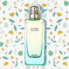 【礼盒礼袋 拍50ml发100ml】法国 爱马仕 HERMES 尼罗河花园女士淡香水 50ml 商品缩略图3