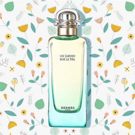 【礼盒礼袋 拍50ml发100ml】法国 爱马仕 HERMES 尼罗河花园女士淡香水 50ml 商品图3