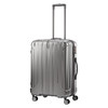AY8*55002 可扩展四轮拉杆箱 银色-66/24 商品缩略图0