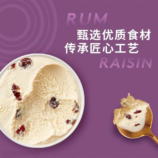 哈根达斯葡萄干朗姆酒冰淇淋75g/杯 商品图4