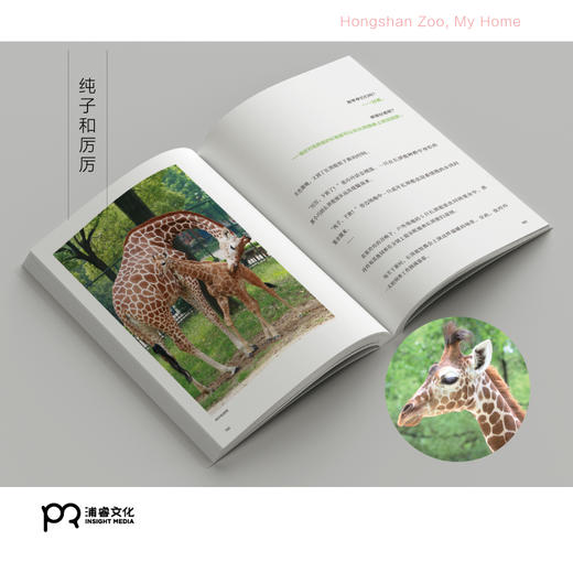 [博集]红山动物园是我家--“世界蕞美的书”得主朱赢椿和人气网红动物园园长沈志军联手打造，真实记录人和动物的温情故事。 商品图6