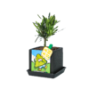 涂鸦造物办公室桌面绿植生日礼物教师节礼青松 商品缩略图4