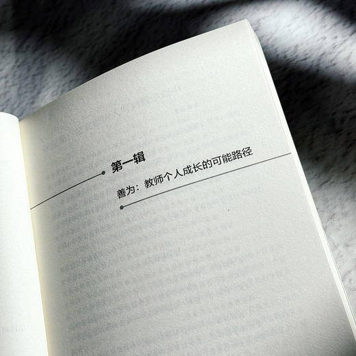 成就良师 探寻好教师成长路径 大夏书系 教师专业发展 禹跃昆 商品图7