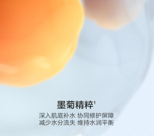 韩束墨菊深度补水六件套新款-9936 商品图5