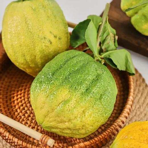 好看的香橼一果难求每一个都是精品青黄果期️待到金灿时香气更醇厚满屋飘香基地直邮 商品图1