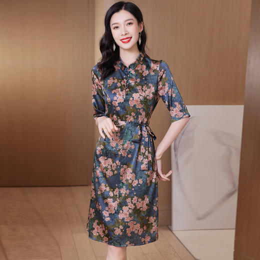 丁摩 重磅真丝连衣裙新款显瘦收腰桑蚕丝长裙子23025 商品图3