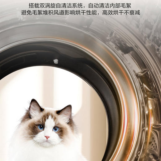 海尔（Haier）洗衣机 XQG120-HLE58A2U1 商品图10