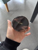 citrine春汀绒光气垫 商品缩略图0