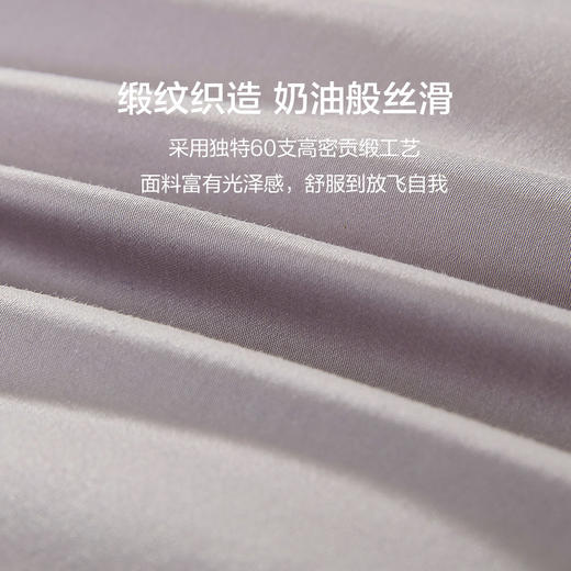 恐龙 全棉天茶植萃抗菌春秋被-DS 商品图3