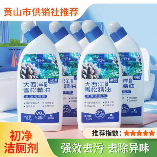 【蓝漂】初净系列 多效洁厕灵液马桶厕所清洁剂 除臭除垢强力去污去黄去异味 商品图0