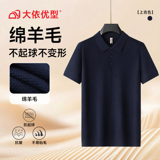 【绵羊毛】【DG】大依优型大码男装菠萝纹翻领POLO衫短袖毛衣加肥加大码宽松毛线衫内搭针织衫男士上衣 商品图4