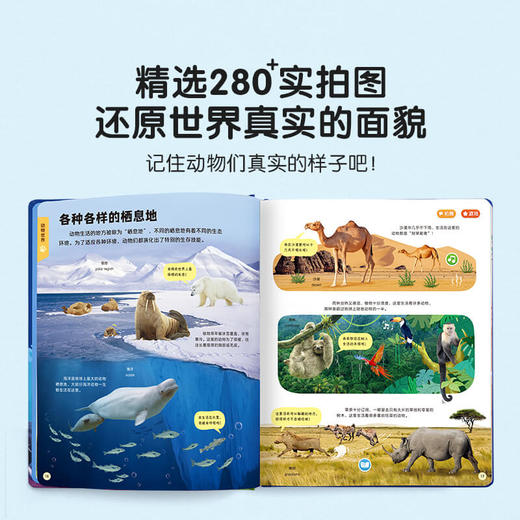 3-6岁科学启蒙——更适合中国孩子的百科全书  换头赳赳公仔WIFI笔G4+儿童科学启蒙大百科 限时加赠：赳赳手提袋 商品图3