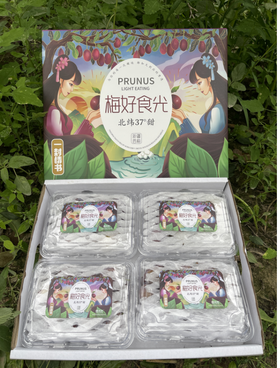 新疆西梅4斤礼盒装