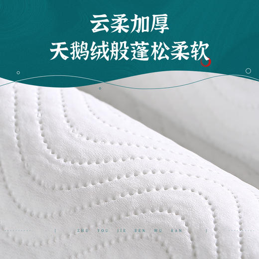 若禺有芯卷纸卫生纸山海白色四层加厚原生竹浆柔韧亲肤1件10卷10提CZ3J07 商品图2