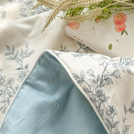 三泰龙 里外全棉新疆棉花芯春秋双人被【春秋被】 商品图3