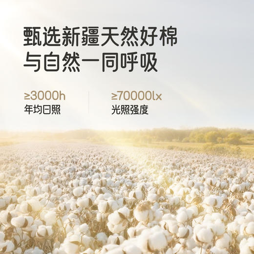 【新会员4折内购】英氏儿童T恤春秋季长袖户外男童长袖T恤百搭森系休闲男宝上衣新款 商品图1