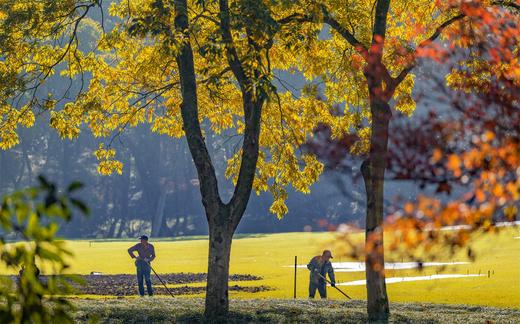 12.1确定出发【杭城秋摄CityWalk】秋日杭州建筑风光秋色7天精品摄影教学<航拍/相机> 商品图1