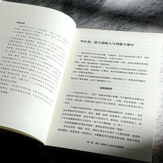 成就良师 探寻好教师成长路径 大夏书系 教师专业发展 禹跃昆 商品图8