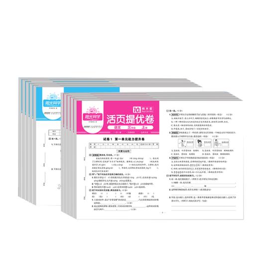 2025阳光同学活页提优卷上册数学北师语文人教版小学一二三四五六年级期中期末基础测试试卷 商品图4