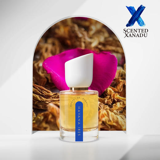 哈瓦那1825 Havana 1825 50ml - 普恩特之香 House of Puente 商品图0