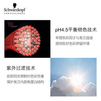 施华蔻专业锁色固色洗发水250ml护发素200ml固色亮泽护色润发烫染修护理 /个人护理 /洗发护发 /洗发水 商品图5