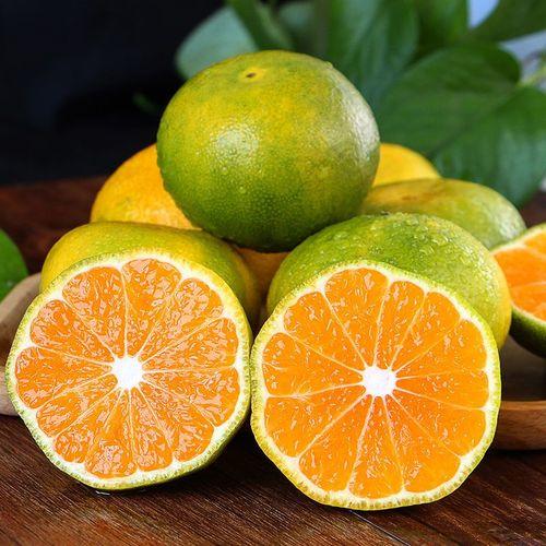 云南高山蜜橘约900克-1100克【FY】 商品图0