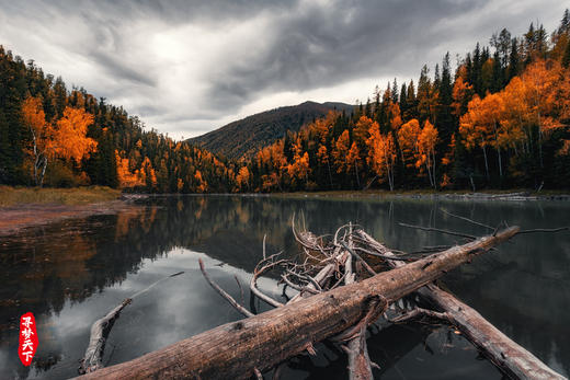 新疆·秋季北疆10天 摄影团 ·阿禾公路、禾木乡、喀纳斯、白哈巴 商品图13