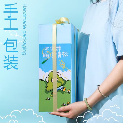 涂鸦造物办公室桌面绿植生日礼物教师节礼青松 商品图1