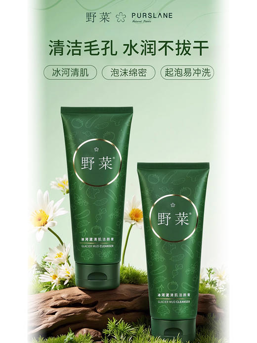 【泥膜级洁面80g/支】野菜冰河泥洁颜膏 商品图1