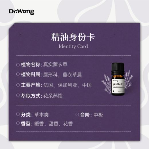 真实薰衣草 单方精油 商品图2