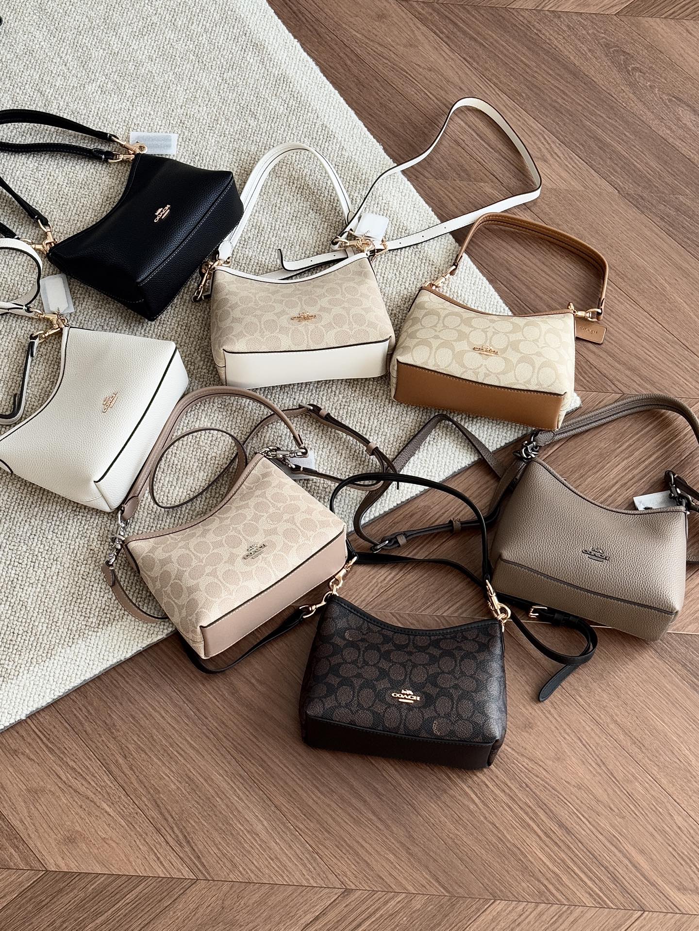 蔻驰 Mini迷你 laurel系列流浪包 （SS）