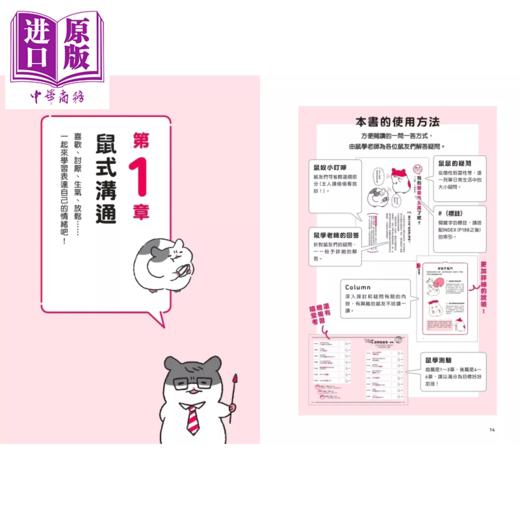 【中商原版】当然问仓鼠才清楚 诚实的鼠鼠行为百科 超萌图解   今泉忠明	一起来出版 台原版 商品图1