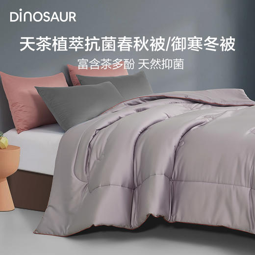 恐龙 全棉天茶植萃抗菌春秋被-DS 商品图6