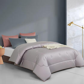 恐龙 全棉天茶植萃抗菌春秋被-DS