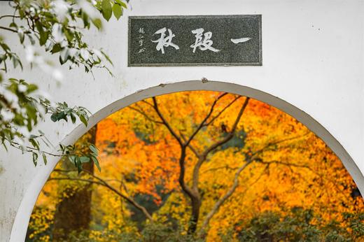 12.1确定出发【杭城秋摄CityWalk】秋日杭州建筑风光秋色7天精品摄影教学<航拍/相机> 商品图2