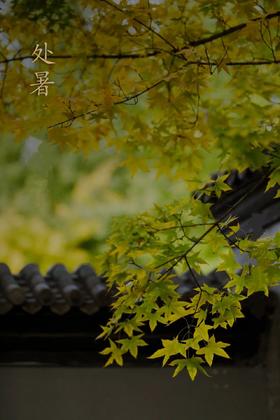  處暑，秋意自此生起