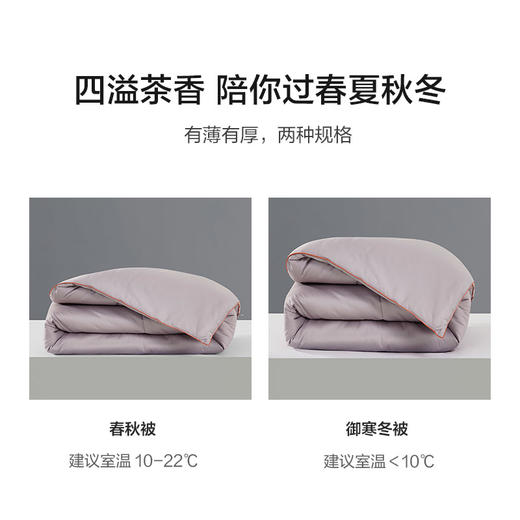 恐龙 全棉天茶植萃抗菌春秋被-DS 商品图2