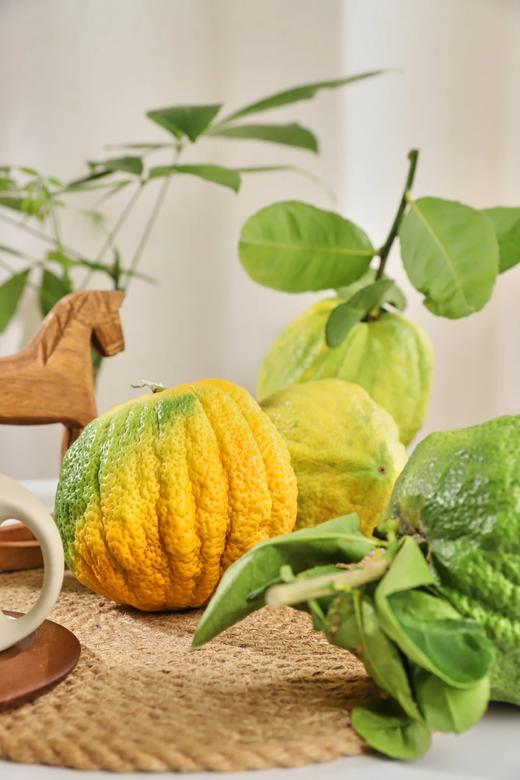 好看的香橼一果难求每一个都是精品青黄果期️待到金灿时香气更醇厚满屋飘香基地直邮 商品图4